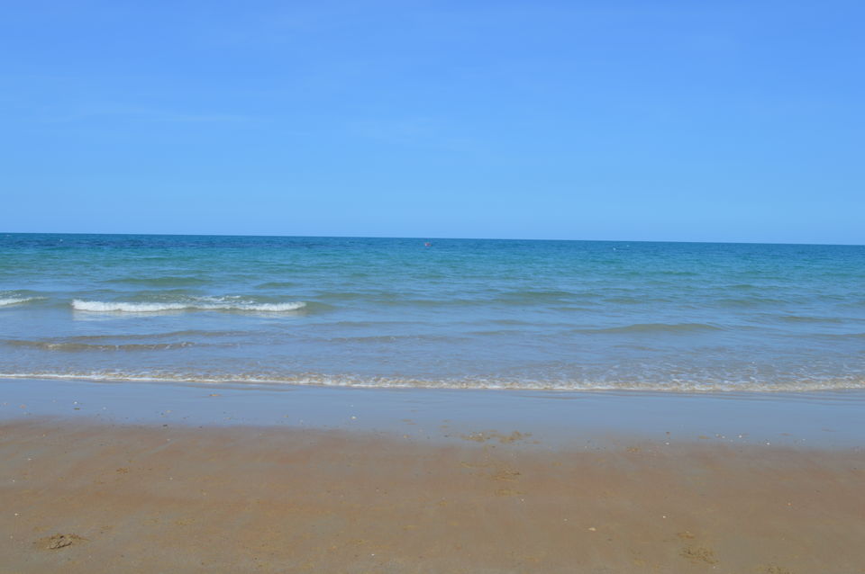 Photo of Four Nights in Beautiful Far North Queensland 10/27 by Taelum W