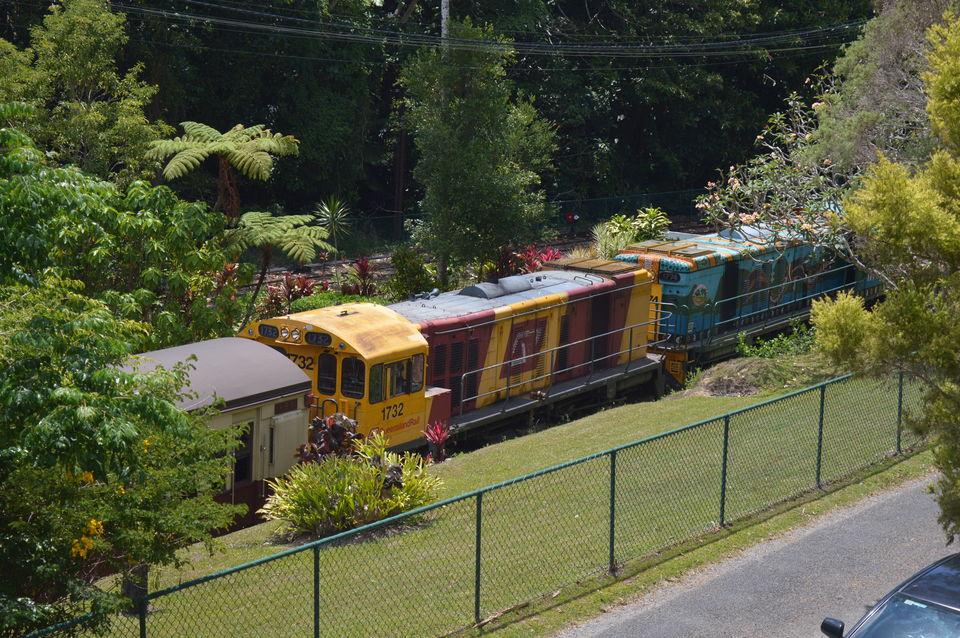 Photo of Four Nights in Beautiful Far North Queensland 13/27 by Taelum W