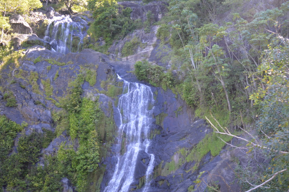 Photo of Four Nights in Beautiful Far North Queensland 19/27 by Taelum W