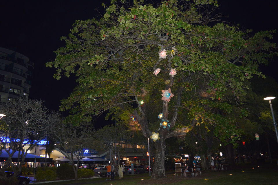 Photo of Four Nights in Beautiful Far North Queensland 23/27 by Taelum W