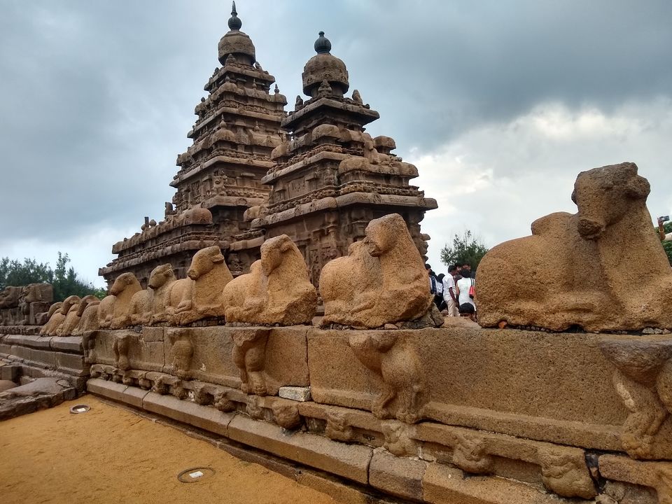 Photo of Mahabalipuram, Tamil Nadu, India by Ritoparna Ray