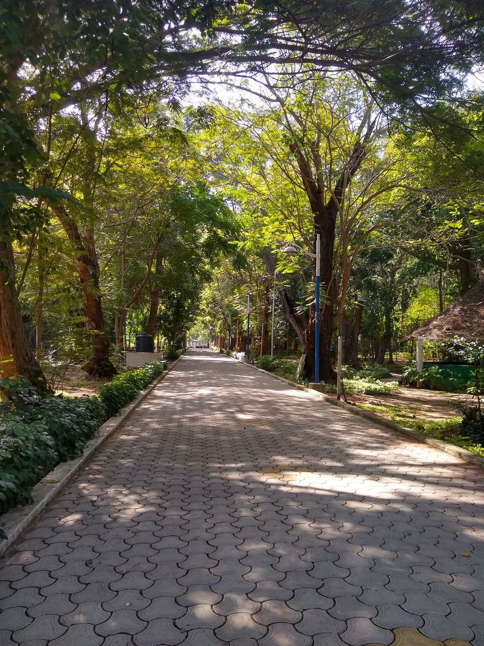 Photo of BOTANICAL GARDEN POND, Banaras Hindu University, Varanasi, Uttar Pradesh, India by Ritoparna Ray