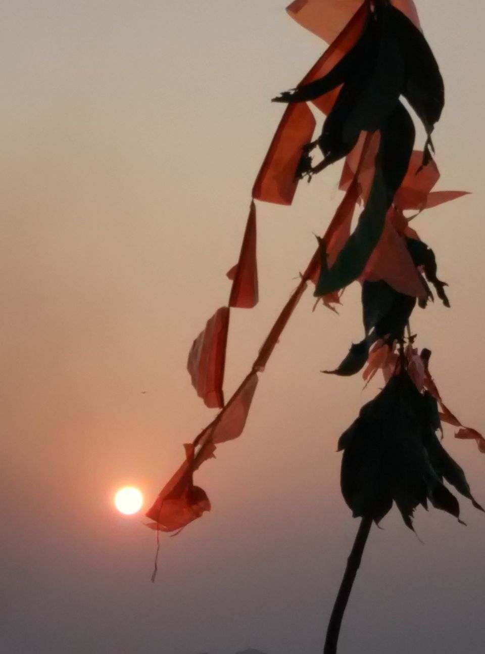 Photo of Heard of Karwar, Anyone? 7/54 by Shruti Rane Gupta