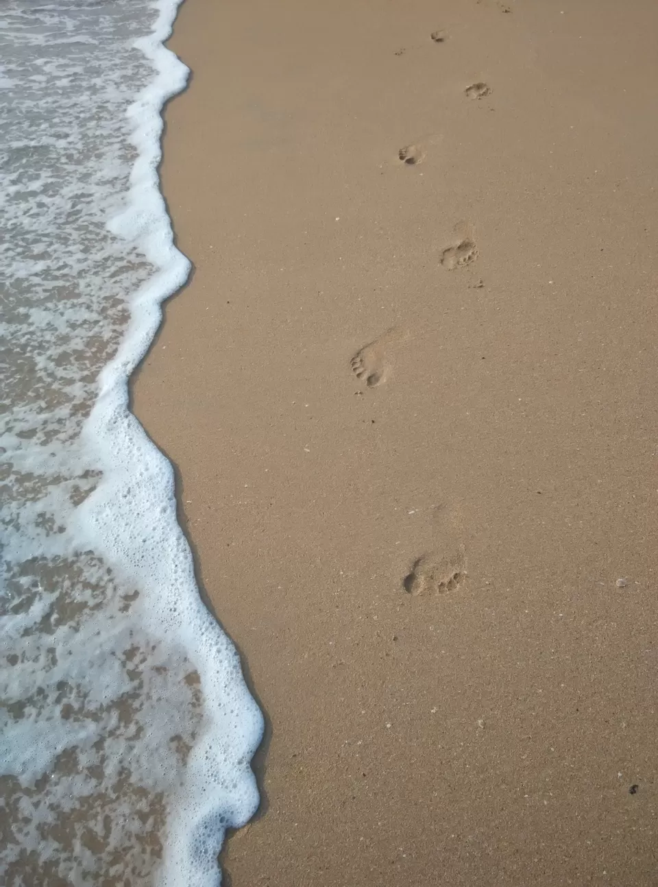 Photo of Polem Beach, Polem Beach, Goa 403728 by Shruti Rane Gupta