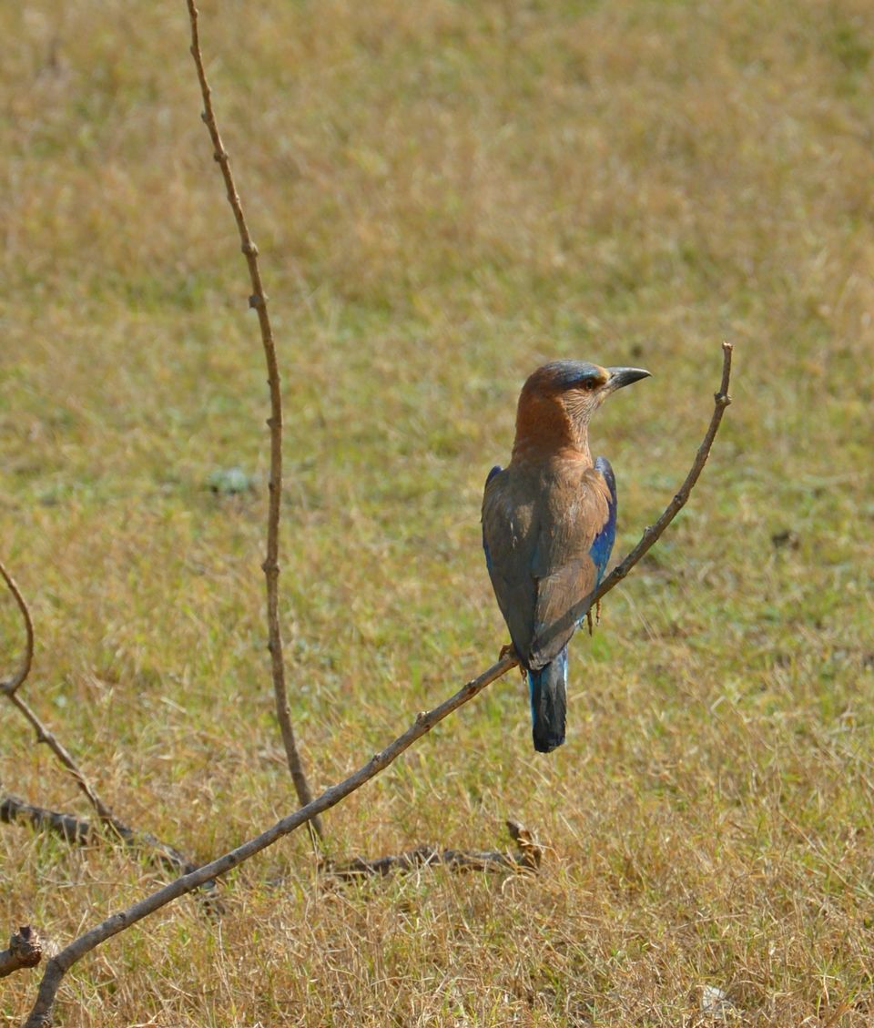 Photo of Backpacking Madhya Pradesh 2/4 by KhYati GuRav