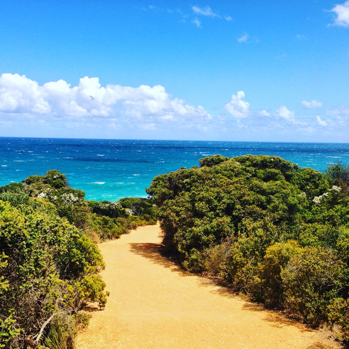 Photo of Soaking Myself In The Vivid Colours Of Australia 29/45 by Rahul Basak