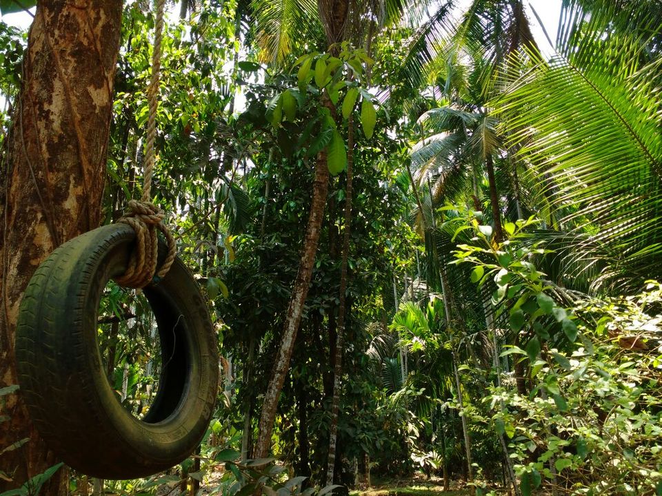 Photo of Gokarna: In search of Vitamin SEA by Rahul Basak
