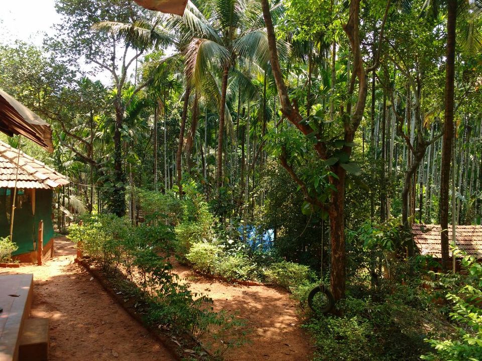 Photo of Gokarna: In search of Vitamin SEA by Rahul Basak