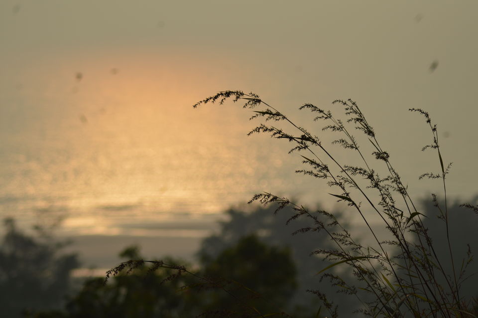 Photo of On the other side of the Majestic Western ghats - Ratnagiri 15/21 by Sulav Kumar