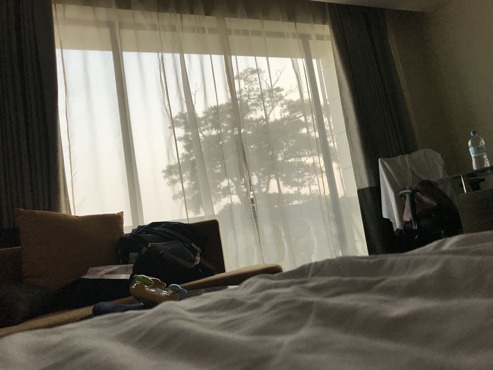 Photo of Radisson Blu Plaza Hotel Mysore, MG Road, Indiranagar Extension, JC Nagar, Mysuru, Karnataka, India by Nikita Mathur