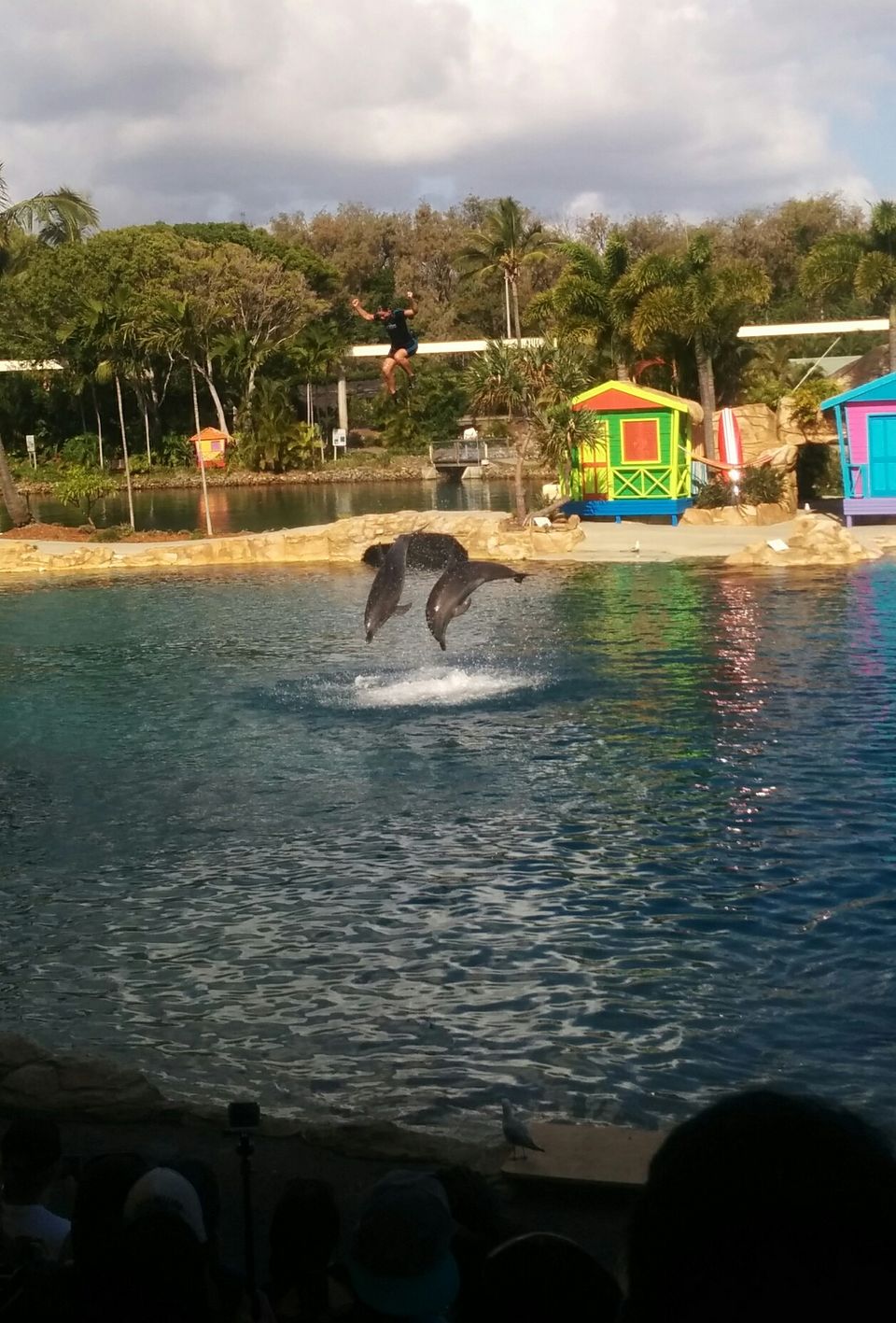 Photo of Sea World, Gold Coast, Queensland, Australia by Nikita Mathur