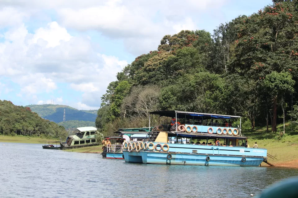 Photo of Periyar National Park, Kerala, India by Nikita Mathur