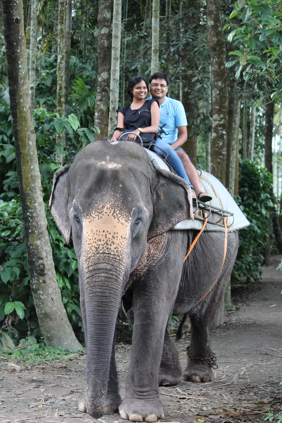 Photo of Periyar National Park, Kerala, India by Nikita Mathur