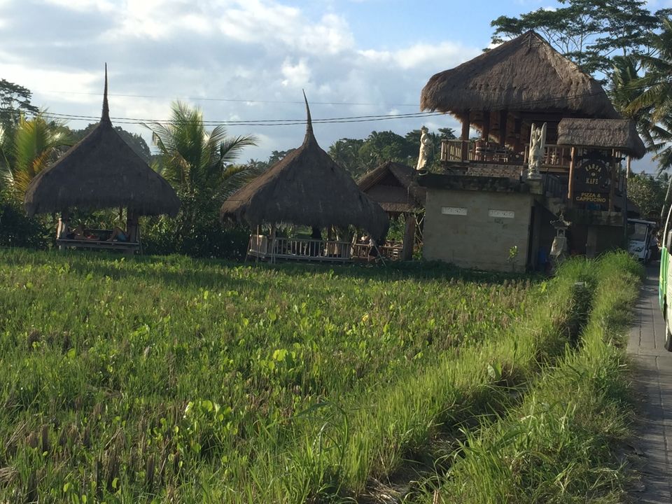 Photo of Campuhan Ridge Walk, Jalan Raya Campuan, Sayan, Gianyar, Bali, Indonesia by Nikita Mathur