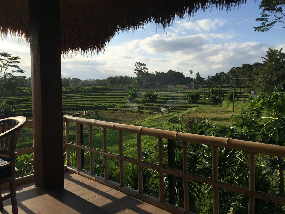 Photo of Campuhan Ridge Walk, Jalan Raya Campuan, Sayan, Gianyar, Bali, Indonesia by Nikita Mathur