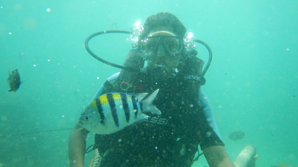Photo of Bali Scuba Diving - Nusa Dua Dive Centre, Benoa, Badung Regency, Bali, Indonesia by Nikita Mathur