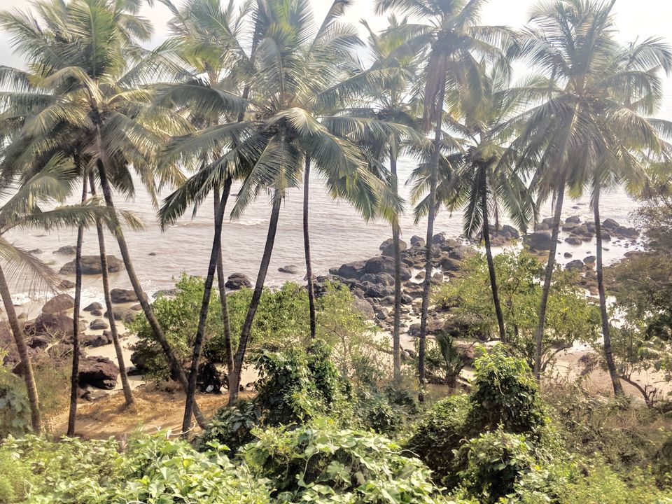 Photo of Goa to Bangalore : Five reasons to ditch your flight, and board a train! 3/9 by Nikita Mathur