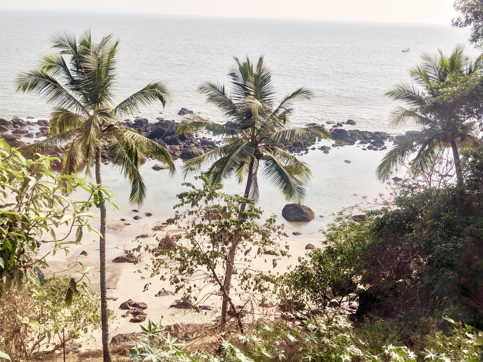 Photo of Goa to Bangalore : Five reasons to ditch your flight, and board a train! 4/9 by Nikita Mathur