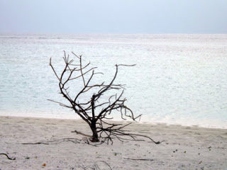 Photo of The Budget Maldives 17/18 by Ketan