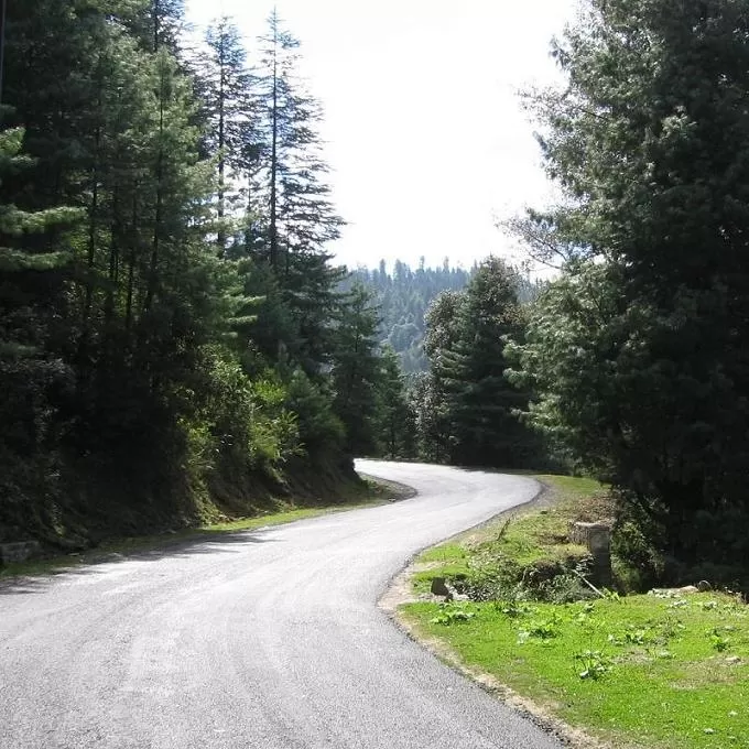 Photo of Narkanda Road, Sungri, Himachal Pradesh, India by suparnakalra