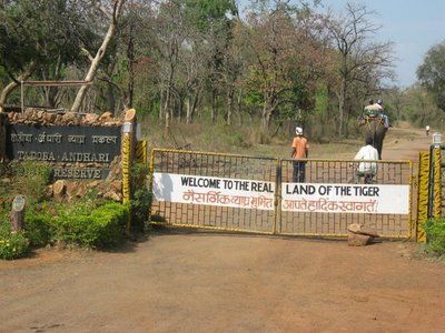 Photo of Tadoba Andhari Tiger Project, India by Vartika Sharma