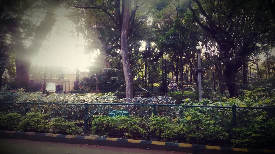 Photo of Bugle Rock Road, Basavanagudi, Bengaluru, Karnataka, India by Hanee 