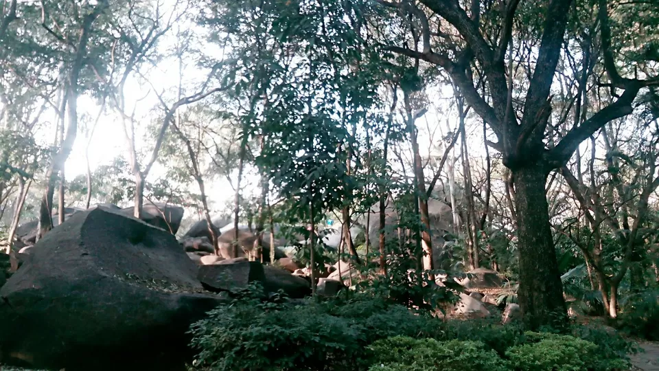 Photo of Bugle Rock Road, Basavanagudi, Bengaluru, Karnataka, India by Hanee 