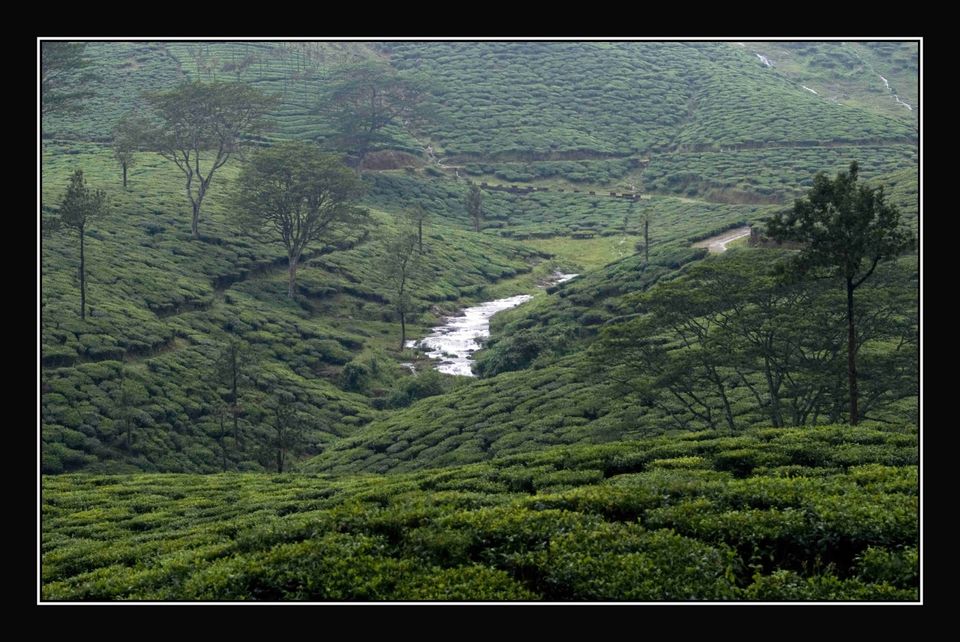 Photo of Wagamon, Kerala, India by Seena