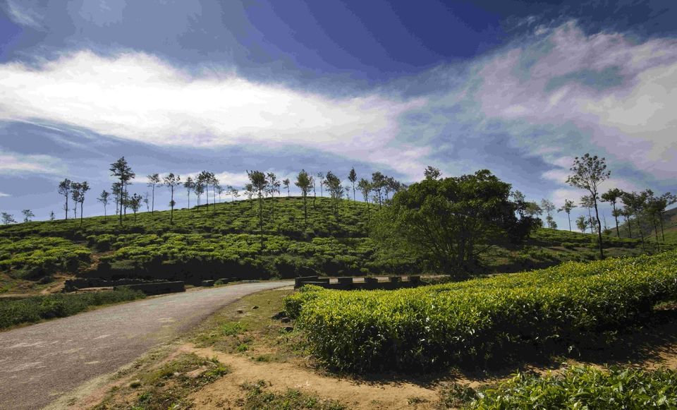 Photo of Wagamon, Kerala, India by Seena