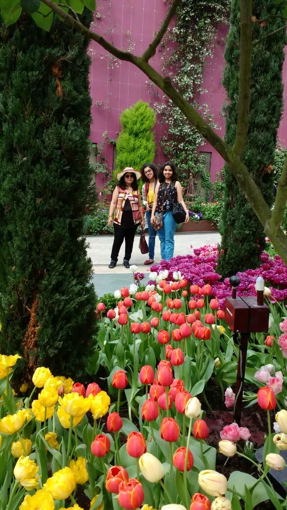 Photo of Singapore by Aisha Dwivedi