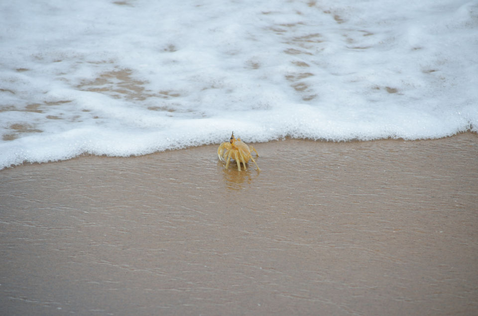 Photo of The way I traveled Vizag 8/13 by Nisha Khulbe
