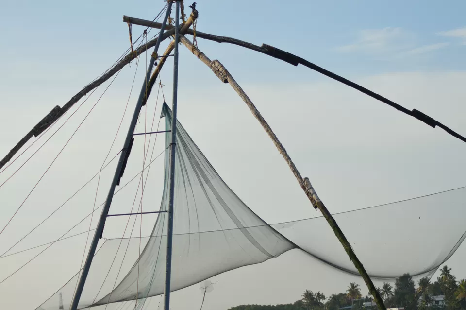 Photo of Kochi, Kerala, India by Nisha Khulbe