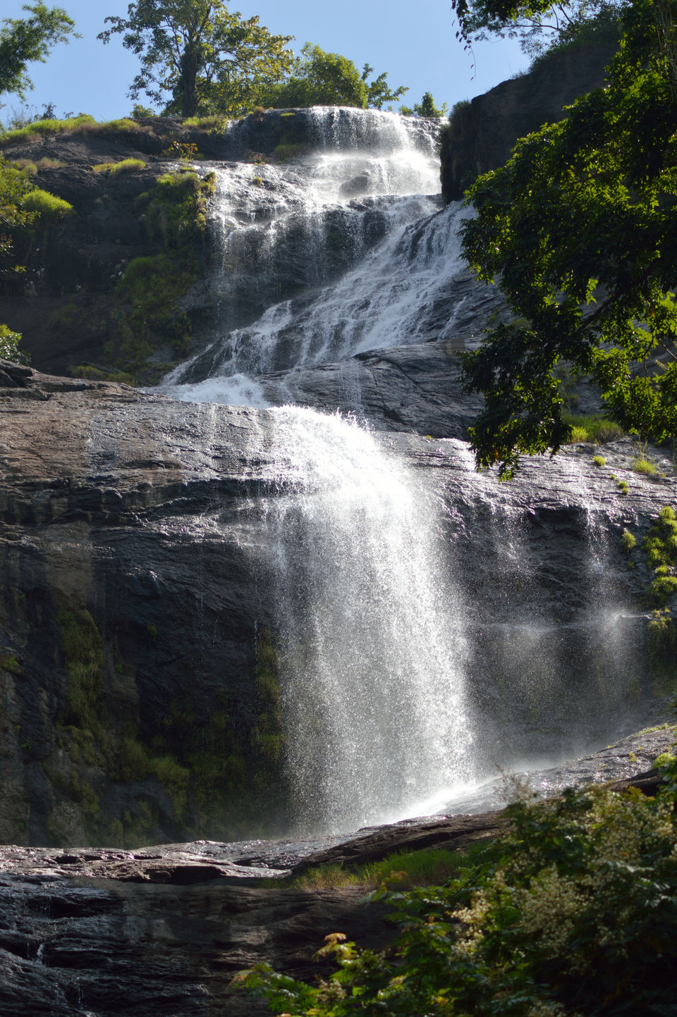 Photo of Munnar, Kerala, India by Nisha Khulbe