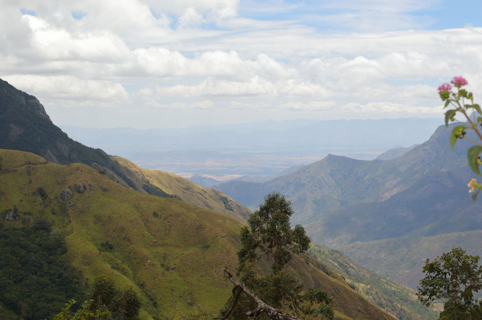 Photo of Munnar, Kerala, India by Nisha Khulbe
