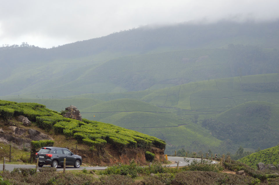 Photo of Munnar, Kerala, India by Nisha Khulbe