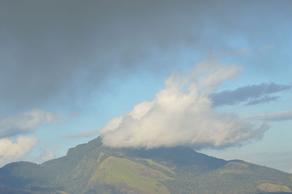 Photo of Munnar, Kerala, India by Nisha Khulbe