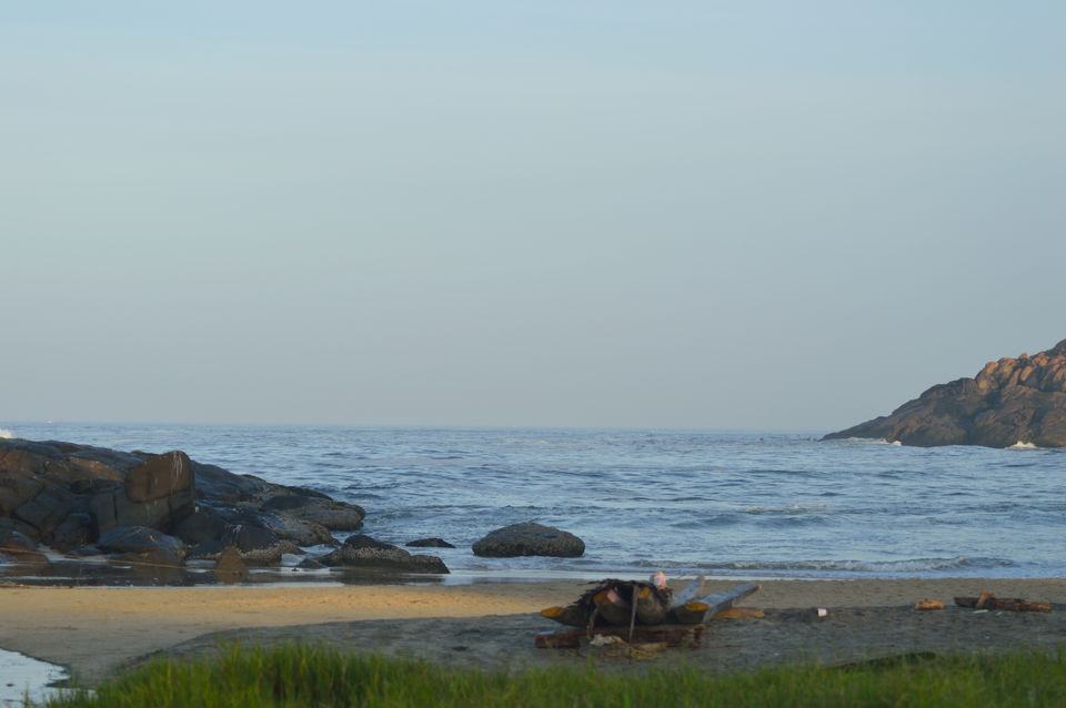Photo of Kovalam, Kerala, India by Nisha Khulbe