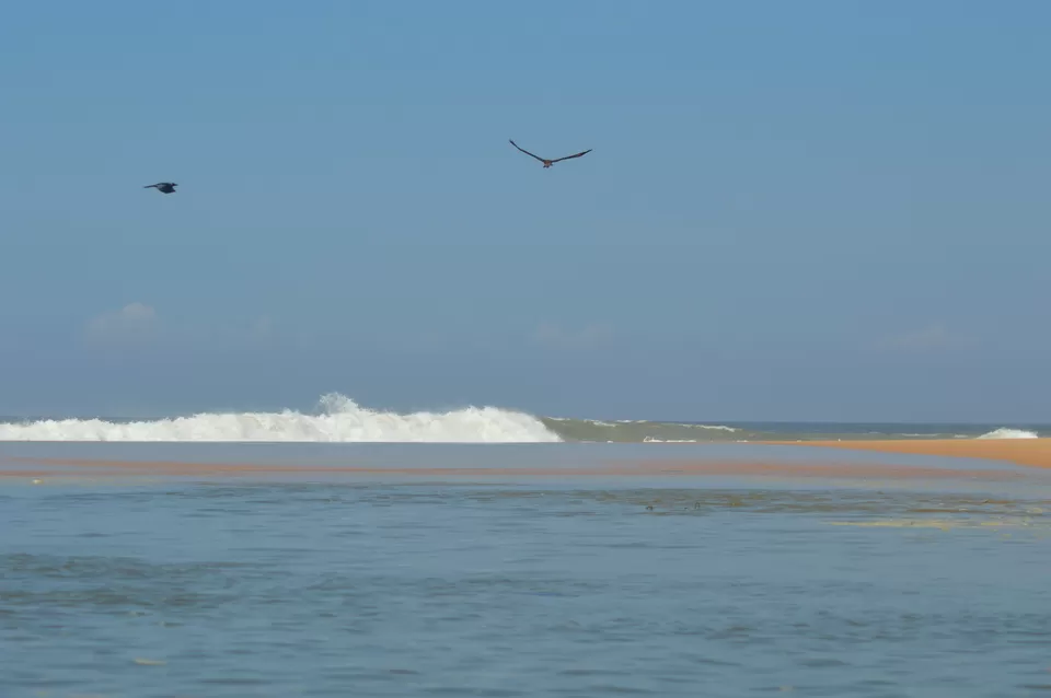 Photo of Poovar, Kerala, India by Nisha Khulbe