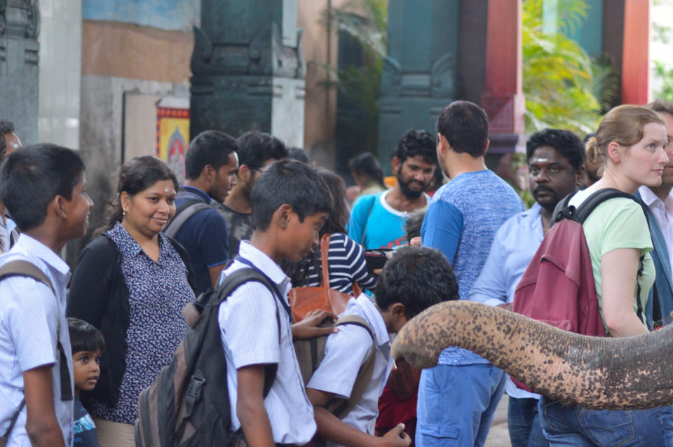 Photo of Puducherry: from heritage to history to food to beaches to drive.. it has all !!!! 2/19 by Nisha Khulbe
