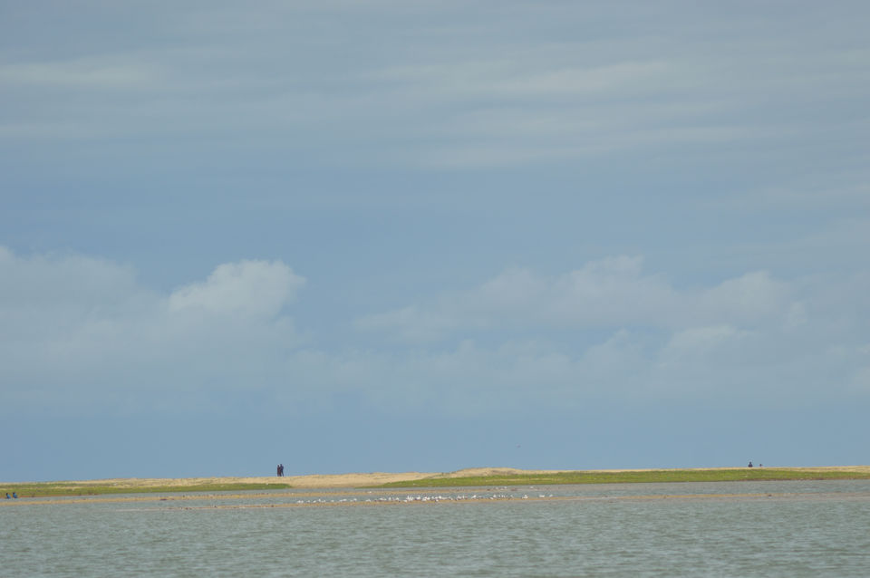 Photo of Puducherry: from heritage to history to food to beaches to drive.. it has all !!!! 15/19 by Nisha Khulbe