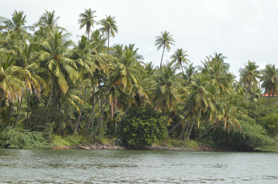 Photo of Puducherry: from heritage to history to food to beaches to drive.. it has all !!!! 19/19 by Nisha Khulbe