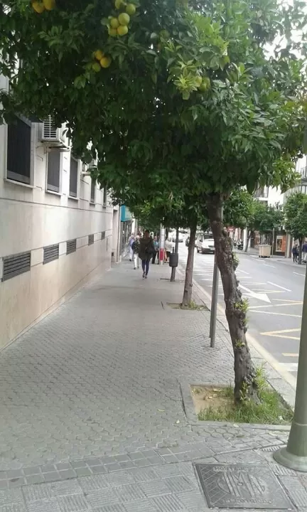 Photo of Spain trip 10days (Madrid,sevilla,Granada,barcelona) by Prejitha P Jayakumar