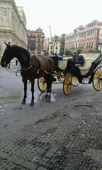 Photo of Spain trip 10days (Madrid,sevilla,Granada,barcelona) by Prejitha P Jayakumar