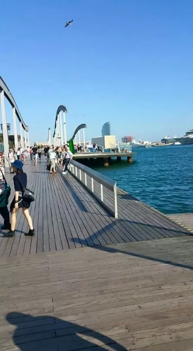 Photo of Spain trip 10days (Madrid,sevilla,Granada,barcelona) by Prejitha P Jayakumar