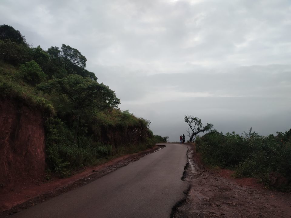 Photo of Chikmagalur & Kemmangundi : Journey Into the blessed Hill stations of South India by Ranjit Periyasami