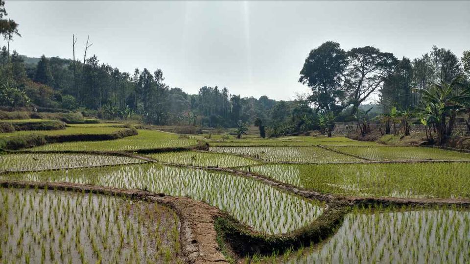 Photo of The Road less travelled: Kolli Hills by Ranjit Periyasami