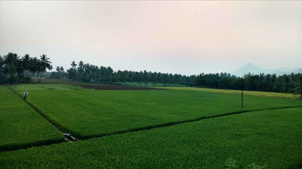 Photo of The Road less travelled: Kolli Hills by Ranjit Periyasami
