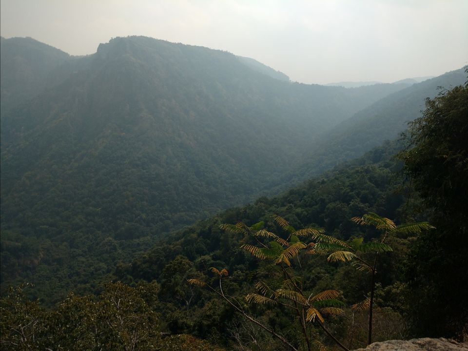Photo of The Road less travelled: Kolli Hills by Ranjit Periyasami