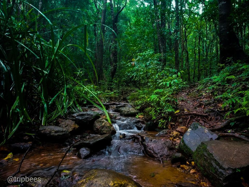 Photo of Kodachadri - Trek with the rain by Ranjit Periyasami