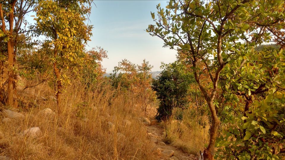 Photo of An Adventurous Temple Trip from Bangalore - Lepakshi and Makali Durga Trekking by Ranjit Periyasami